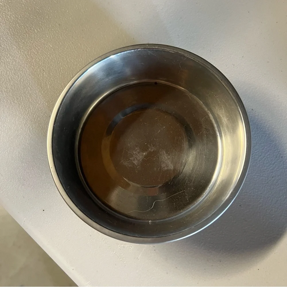 Rose Gold Champagne Round Dog Food Water Bowl 1.90 Cup / 450 mL EUC